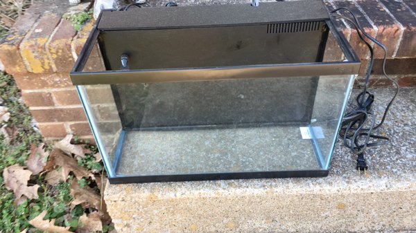 10 gallon All In One filtration - Project starts with a standard 10 gallon aquarium. Using black PVC, I built different compartments for different stages of filtration. Hard scape was glued to the black PVC sheet for a seem less view, not obstructed by equipment. 10 gallon All In One filtration - Project starts with a standard 10 gallon aquarium. Using black PVC, I built different compartments for different stages of filtration. Hard scape was glued to the black PVC sheet for a seem less view, not obstructed by equipment.