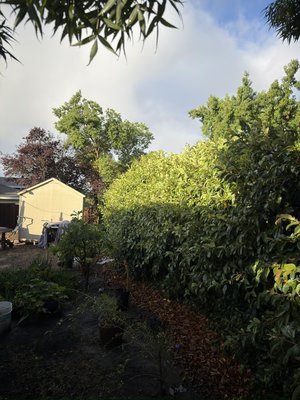 FRESH CUT LAWNS & LANSCAPES - Updated December 2025 - 38 Photos ... - Fresh Cut Lawns Versus Vagrants Leading