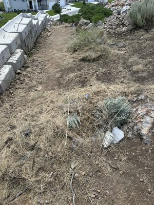 Hauled off weeds, debris, and dead bushes. - We were contacted this morning and went and finished the job a few hours later. We cleared out sage brush, weeds, and other debris. Hauled off weeds, debris, and dead bushes. - We were contacted this morning and went and finished the job a few hours later. We cleared out sage brush, weeds, and other debris.