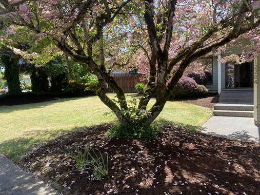 Outdoor maintenance - Driveway and walkway pressure wash/Landscape/clean Roof - Customer needed to sell their house and asked us to refresh the outdoor areas, clean roof, and do some small repairs on the inside of the house. Outdoor maintenance - Driveway and walkway pressure wash/Landscape/clean Roof - Customer needed to sell their house and asked us to refresh the outdoor areas, clean roof, and do some small repairs on the inside of the house.