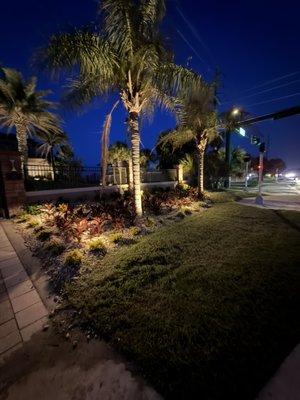 Beach house lighting project - This was an extension project of current lighting. They already had. We extended it out through the front gate to light their new planting in the front. ￼