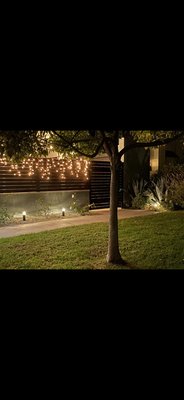 Landscape lighting - This was a exterior lighting project we did.