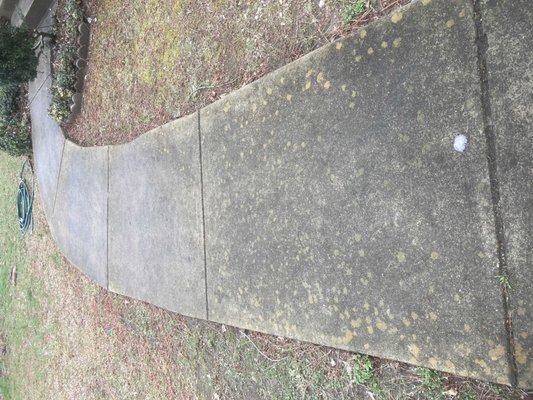 Power washing - This Power washing was done on a concrete walk-way that had turned so dark that it looked so dull. The Simba Power washing process gave it a new brighter look.