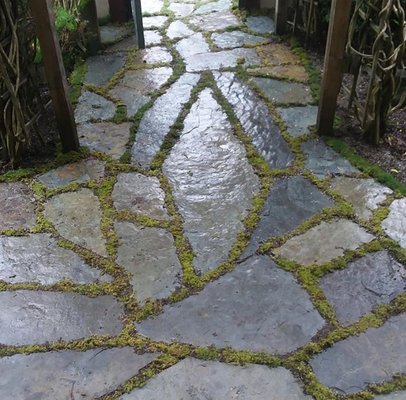Flagstone - We’ve done several flagstone patios and pathways in various situations. In the joints (spaces between stones), we can add mortar, leave them open, or plant. Flagstone - We’ve done several flagstone patios and pathways in various situations. In the joints (spaces between stones), we can add mortar, leave them open, or plant.