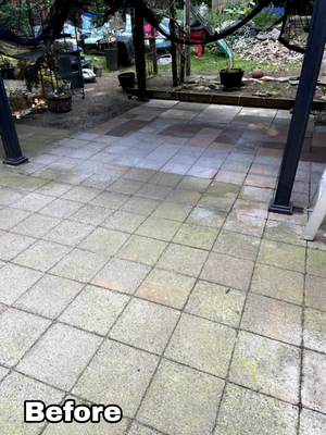 House wash and back patio - This man had requested to have his house soft washed and his back patio cleaned. Gutters are of course being apart of the house wash. Mid-way through the day he had asked to have the roof of his gazebo and workshop cleaned off as well for extra cost.. No problem! Contact for a Free Consultation! House wash and back patio - This man had requested to have his house soft washed and his back patio cleaned. Gutters are of course being apart of the house wash. Mid-way through the day he had asked to have the roof of his gazebo and workshop cleaned off as well for extra cost.. No problem! Contact for a Free Consultation!