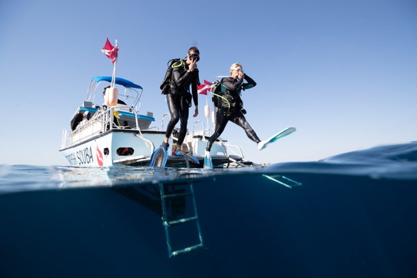 PADI Open Water Diver - E-Learning - If you always wanted to take SCUBA diving lessons, experience unparalleled adventure and see the world beneath the waves, this is where it starts. Get your SCUBA diving certification with our Open Water Diver course. To take an Open Water Certification course, you must be at least 10 years old and reasonably in good health. No prior experience with SCUBA diving is required.
Instructor Training Cost: $250 + student folder and logbook. Course price: Includes rental equipment: buoyancy control device (BCD), regulator with octo and console, dive computer, tanks and air fills, wet-suits, hoods and gloves, if needed.
There is a fee for the PADI E-Learning module. PADI Open Water Diver - E-Learning - If you always wanted to take SCUBA diving lessons, experience unparalleled adventure and see the world beneath the waves, this is where it starts. Get your SCUBA diving certification with our Open Water Diver course. To take an Open Water Certification course, you must be at least 10 years old and reasonably in good health. No prior experience with SCUBA diving is required.
Instructor Training Cost: $250 + student folder and logbook. Course price: Includes rental equipment: buoyancy control device (BCD), regulator with octo and console, dive computer, tanks and air fills, wet-suits, hoods and gloves, if needed.
There is a fee for the PADI E-Learning module.