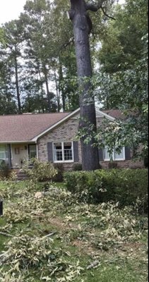 Looks like a new home - The customer wanted a dangerous large tree removed from the front of their home but I suspect they weren’t expecting it to look as good as this! Removing this tree really brightened the home up too! Looks like a new home - The customer wanted a dangerous large tree removed from the front of their home but I suspect they weren’t expecting it to look as good as this! Removing this tree really brightened the home up too!