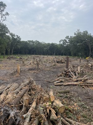 Land clearing - Clearing land to build Townhomes. Land clearing - Clearing land to build Townhomes.