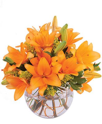 Say get well soon! - Whether you're celebrating the birth of a child, kindness of a friend, the closing of a business deal or sending condolences. West Jordan Flowers will make any occasion special.
Proudly serving the West Jordan, Utah area with over 20 years of floral design experience, we're a full-service local florist that is family-owned and operated.
We hope you enjoy your online shopping experience with secure 24-hour ordering right at your fingertips. If preferred, you may call us to place orders direct at 801-406-1960. Say get well soon! - Whether you're celebrating the birth of a child, kindness of a friend, the closing of a business deal or sending condolences. West Jordan Flowers will make any occasion special.
Proudly serving the West Jordan, Utah area with over 20 years of floral design experience, we're a full-service local florist that is family-owned and operated.
We hope you enjoy your online shopping experience with secure 24-hour ordering right at your fingertips. If preferred, you may call us to place orders direct at 801-406-1960.