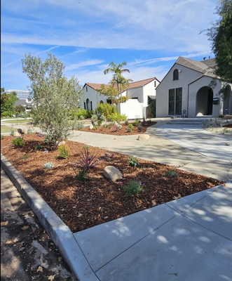 Lucerne Project - Los Angeles - Complete frontyard makeover! Lucerne Project - Los Angeles - Complete frontyard makeover!
