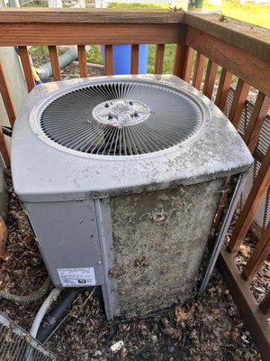 AC condenser deep cleaning - Has your AC not been performing as it should? We offer condenser unit deep cleanings to enhance efficiency, lower your energy bill and extend the life of your HVAC system.
Contact us today to schedule your cleaning and assure your system will work year round! AC condenser deep cleaning - Has your AC not been performing as it should? We offer condenser unit deep cleanings to enhance efficiency, lower your energy bill and extend the life of your HVAC system.
Contact us today to schedule your cleaning and assure your system will work year round!