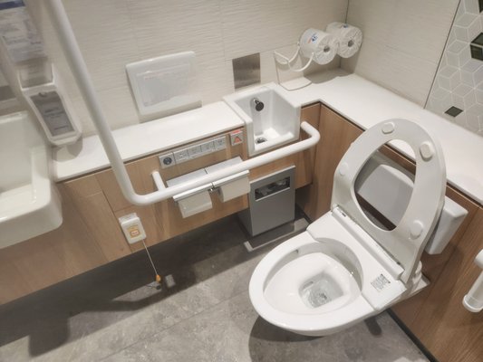 Specialty toilet installations - These are toilets and a urinal we installed which show a standard residential toilet and multiple specialty toilets installed with the accompanying flush and fill valves for each toilet. Some wall mounted toilets. Some auto flush valves. and a computerized specialty bidet which is wall mounted and has digital control panel, along with the small sink and handicap rails we installed.