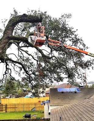 Hazardous limb removal - This was a very large limb that had broken off and got stuck in a live oak tree above a house. We carefully used our rigging tools and equipment to safely and properly remove the limb without any damage to the house or property. Hazardous limb removal - This was a very large limb that had broken off and got stuck in a live oak tree above a house. We carefully used our rigging tools and equipment to safely and properly remove the limb without any damage to the house or property.
