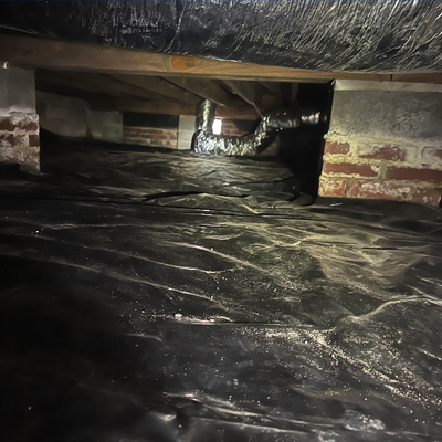 Moisture Control - A damp crawl space is an open invitation for pests and rot. We inspect, install vapor barriers, and reduce moisture levels so Crawl Space moisture solutions, vapor barriers, inspections, and recommendations Hampton Roads home stays structurally sound — and pest-free — from the ground up.
