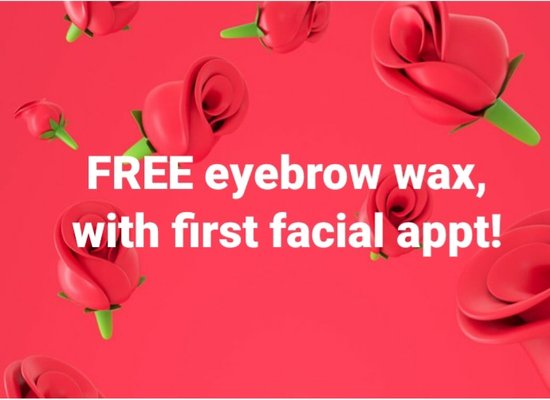 FREE brow wax! - Book your facial today! FREE brow wax! - Book your facial today!