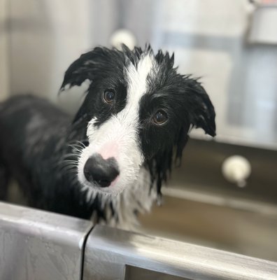 Baths - Feeling squeaky clean! Baths - Feeling squeaky clean!