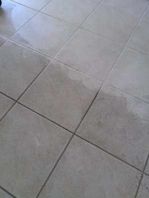 Tile & Grout Cleaning - Bring out the beauty and elegance of your tile and grout while extending the life of your floors.
Call today for a free estimate! Tile & Grout Cleaning - Bring out the beauty and elegance of your tile and grout while extending the life of your floors.
Call today for a free estimate!