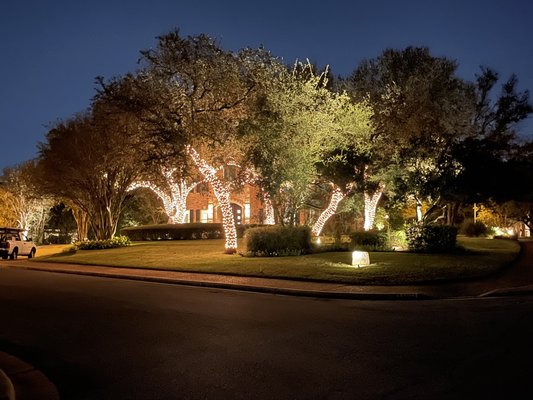 Tree Wrapping - ### Bring Holiday Cheer to Your Home with Our Christmas Lights Installation!
Let us transform your trees into a stunning display with our professional Christmas lights installation! Our beautifully wrapped lights will be the highlight of your block, illuminating your home and surrounding landscape with festive cheer.
Create a magical atmosphere this holiday season that will enchant your family and neighbors alike.
Ready to spread the joy? Call us today for a free quote and let your home shine bright this Christmas! Tree Wrapping - ### Bring Holiday Cheer to Your Home with Our Christmas Lights Installation!
Let us transform your trees into a stunning display with our professional Christmas lights installation! Our beautifully wrapped lights will be the highlight of your block, illuminating your home and surrounding landscape with festive cheer.
Create a magical atmosphere this holiday season that will enchant your family and neighbors alike.
Ready to spread the joy? Call us today for a free quote and let your home shine bright this Christmas!