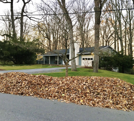 Yard Cleanups - Keep Your Property Clean, Safe, and Looking Its Best
A clean yard doesn’t just look good — it protects your property, boosts curb appeal, and creates a safer outdoor space for your family. At Total Lawn Care, we provide reliable, affordable yard‑cleanup services designed to take the stress and hard work off your shoulders. Whether your yard needs a quick refresh or a full seasonal cleanup, our team is ready to handle it all.
🍂 What Our Yard Cleanup Includes
Leaf and debris removal
Branch and stick pickup
Overgrown vegetation trimming
Garden bed cleaning and edging
Hauling and disposal of all debris
💪 Why Choose Total Lawn Care
Fast, dependable service you can count on
Professional equipment for a thorough, efficient cleanup
Friendly, experienced team focused on quality
Affordable pricing with no hidden fees
🌱 Perfect for Any Season
Whether it’s spring prep, fall leaf removal, or a mid‑season refresh, or after storm cleanup we make sure your yard stays neat, healthy, and ready for whatever comes next.
📞 Ready for a Cleaner Yard? Give us a call today! Yard Cleanups - Keep Your Property Clean, Safe, and Looking Its Best
A clean yard doesn’t just look good — it protects your property, boosts curb appeal, and creates a safer outdoor space for your family. At Total Lawn Care, we provide reliable, affordable yard‑cleanup services designed to take the stress and hard work off your shoulders. Whether your yard needs a quick refresh or a full seasonal cleanup, our team is ready to handle it all.
🍂 What Our Yard Cleanup Includes
Leaf and debris removal
Branch and stick pickup
Overgrown vegetation trimming
Garden bed cleaning and edging
Hauling and disposal of all debris
💪 Why Choose Total Lawn Care
Fast, dependable service you can count on
Professional equipment for a thorough, efficient cleanup
Friendly, experienced team focused on quality
Affordable pricing with no hidden fees
🌱 Perfect for Any Season
Whether it’s spring prep, fall leaf removal, or a mid‑season refresh, or after storm cleanup we make sure your yard stays neat, healthy, and ready for whatever comes next.
📞 Ready for a Cleaner Yard? Give us a call today!