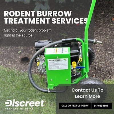 Rodent Burrow Treatments - Rodent Burrow Treatments