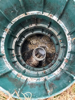Huntsville AR - Another septic system cleaned and restored in Huntsville, AR!
This customer was experiencing drainage issues caused by heavy buildup inside the tank. As you can see in the photos, there was a significant accumulation of solids and scum restricting proper flow. After a thorough cleaning, the tank was restored to normal operating condition.
Many septic problems start long before there are visible signs inside the home. Regular maintenance every 3–5 years helps prevent backups, costly repairs, and emergency service calls.
If you're not sure when your tank was last serviced, now is the time to check.
📍 Proudly serving Huntsville AR and all of Northwest Arkansas
📞 479-325-2391
Advanced Septic — Helping homeowners avoid septic emergencies through proper maintenance and thorough cleaning. Huntsville AR - Another septic system cleaned and restored in Huntsville, AR!
This customer was experiencing drainage issues caused by heavy buildup inside the tank. As you can see in the photos, there was a significant accumulation of solids and scum restricting proper flow. After a thorough cleaning, the tank was restored to normal operating condition.
Many septic problems start long before there are visible signs inside the home. Regular maintenance every 3–5 years helps prevent backups, costly repairs, and emergency service calls.
If you're not sure when your tank was last serviced, now is the time to check.
📍 Proudly serving Huntsville AR and all of Northwest Arkansas
📞 479-325-2391
Advanced Septic — Helping homeowners avoid septic emergencies through proper maintenance and thorough cleaning.