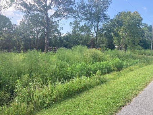 Lot cleanup - This was a lot that had been cleared, but needed to be cleaned up again so it was ready for a home to be put on