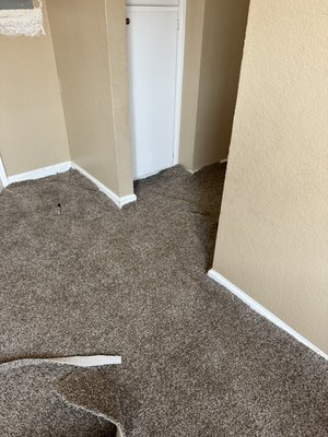 Carpet installation - Installation in the master bedroom