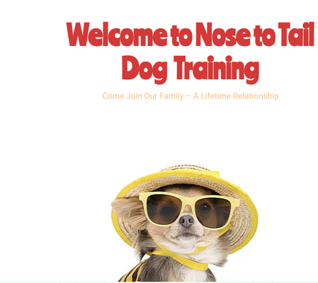 About Us 🐾 - Discover a warm invitation to join our extended family, fostering a lifetime relationship with your furry companion. Training dogs since 2017, our team has dedicated over 6 ½ years to perfecting the art of dog training, aiming to help build a bond that lasts a lifetime. At Nose to Tail Dog Training, we go beyond normal, boring, approaches, emphasizing personalized training that acknowledges the uniqueness of each dog. Our commitment is constant, we design our methods to suit the specific needs of your pet, making sure of a training experience that not only goes a long way but is also deeply enriching. Join us on this journey of understanding, connection, and lifelong companionship with Nose to Tail Dog Training. About Us 🐾 - Discover a warm invitation to join our extended family, fostering a lifetime relationship with your furry companion. Training dogs since 2017, our team has dedicated over 6 ½ years to perfecting the art of dog training, aiming to help build a bond that lasts a lifetime. At Nose to Tail Dog Training, we go beyond normal, boring, approaches, emphasizing personalized training that acknowledges the uniqueness of each dog. Our commitment is constant, we design our methods to suit the specific needs of your pet, making sure of a training experience that not only goes a long way but is also deeply enriching. Join us on this journey of understanding, connection, and lifelong companionship with Nose to Tail Dog Training.