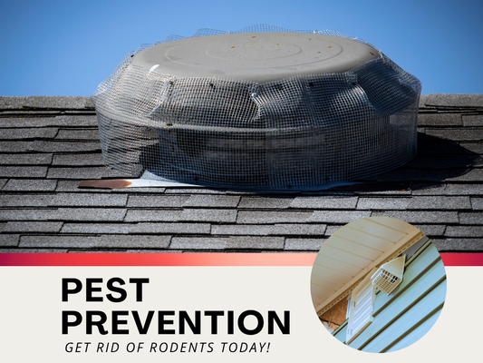 Pest Prevention Services - Our pest prevention service focuses on protecting homes from future infestations by targeting the conditions that attract rodents like rats and mice. This portfolio entry showcases a technician sealing entry points, inspecting exterior gaps, and reinforcing vulnerable areas around the property. Preventative measures include installing barriers, securing vents, and advising on proper sanitation practices.