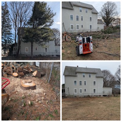 Removals & Stump Grinding - Total transformation in Worcester last week! Safely removed the huge pine and a tough cherry (technical rigging over the neighbor’s house!). Ground the stumps and raked it all clean. Bobcat MT100 got the logs out.