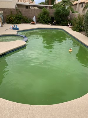 Quick 2 Day Flip - Customer Tried To Maintain His Own Pool After Leasing The House. Everything Was Gravy Until Summer Hit. He Couldn’t Keep Up With The Water Chemistry.
It May Seem Simple But Trust Me - It’s Not!
It’s More Than Just Chlorine!
He Gave Us A Call & Thought He Was Going To Need A Drain In Which Most Cases You Do IF The Water Chemistry Is Really Bad.
But As Long As Your TDS & CYA Levels Are Good , There Is NO NEED TO DRAIN The Entire Pool!
All It Needs Is To Be Balanced Out Right , A Mineral Treatment , Wash The Filters & BOOM - Good To Go Again!
Normally It Takes Us About 72 Hours To Flip A Pool - This One Took Us Less Than 48 Hours! Quick 2 Day Flip - Customer Tried To Maintain His Own Pool After Leasing The House. Everything Was Gravy Until Summer Hit. He Couldn’t Keep Up With The Water Chemistry.
It May Seem Simple But Trust Me - It’s Not!
It’s More Than Just Chlorine!
He Gave Us A Call & Thought He Was Going To Need A Drain In Which Most Cases You Do IF The Water Chemistry Is Really Bad.
But As Long As Your TDS & CYA Levels Are Good , There Is NO NEED TO DRAIN The Entire Pool!
All It Needs Is To Be Balanced Out Right , A Mineral Treatment , Wash The Filters & BOOM - Good To Go Again!
Normally It Takes Us About 72 Hours To Flip A Pool - This One Took Us Less Than 48 Hours!