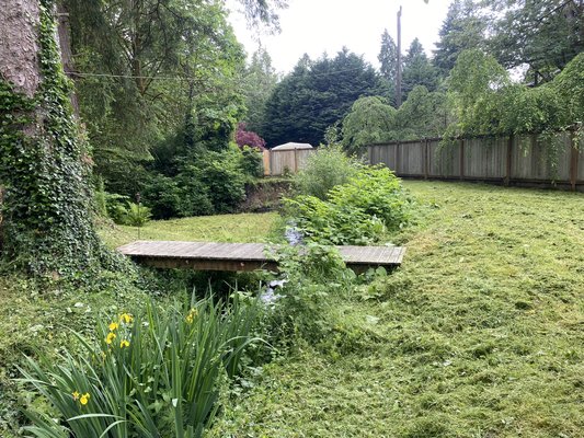 Lawn Maintenance - We did this work the customer couldn’t walk around the house because was tall grass and weeds but after we cleared up and the Happy to walk around house with kids and dogs.