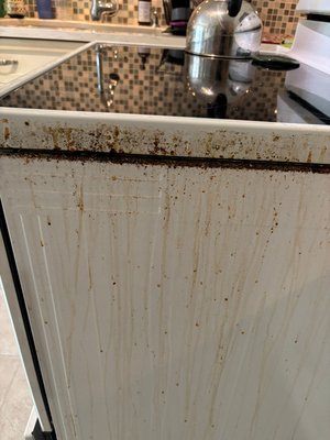 DEEP CLEAN - This was a deep clean that took detailed work and lots of scrubbing. Happy clients is what it’s all about!!! DEEP CLEAN - This was a deep clean that took detailed work and lots of scrubbing. Happy clients is what it’s all about!!!