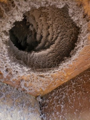 Saint Paul Bar 2020 - We had a local bar call us to clean the air duct system. It looked like there hadn't been a good cleaning since it opened up. An immense amount of dust was removed from both the furnace and ductwork.