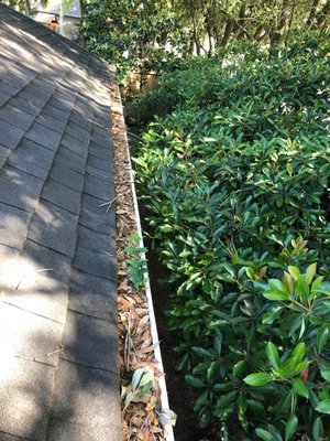 Before and after pictures of gutters. - Unclog your gutters to keep them from getting damaged or causing stains from overflow on the side of the house. Our highly skilled and experienced window cleaners use professional equipment, innovative techniques, and eco-friendly cleaning solutions to leave you with pristine, streak-free windows and long-lasting results. We offer both interior and exterior window cleaning, and our superior attention to detail leaves no spot untouched. We are certified and fully insured.