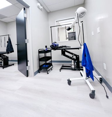 new and professional grooming area and equipment - New and professional grooming area and equipment in our new pet grooming store new and professional grooming area and equipment - New and professional grooming area and equipment in our new pet grooming store