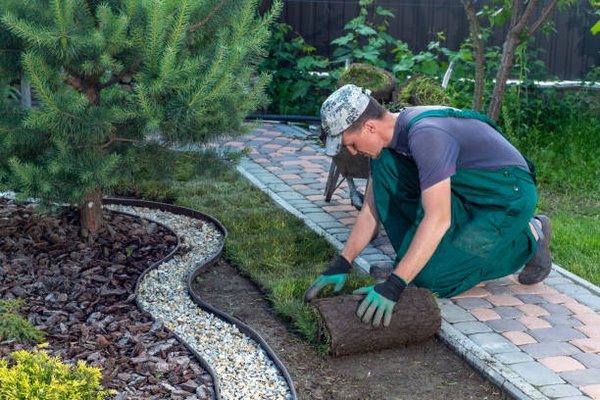 Landscaping Services - Call for more info 6123603361 Landscaping Services - Call for more info 6123603361