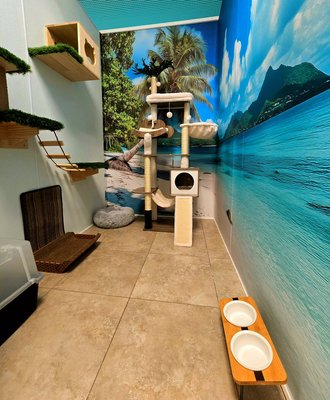 Cat Boarding - At Pawbuddies, your feline friend will enjoy a stress-free stay in their own private room—no cages, ever. Our cat boarding service offers cozy, spacious accommodations designed to make your cat feel right at home. With over 10 years of experience, we ensure each guest receives personalized attention, playtime, and a calm environment while you're away.