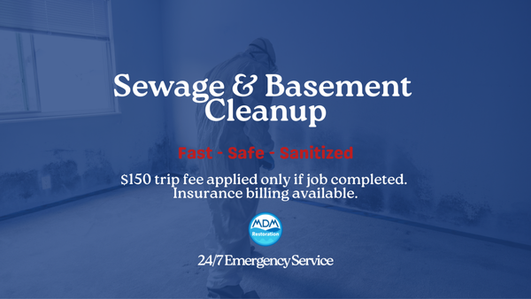 Sewage & Basement Cleanup - We can handle your sewage and basement problems! Sewage & Basement Cleanup - We can handle your sewage and basement problems!