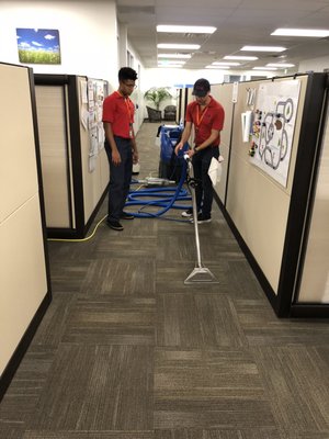 Business Carpet and Upholstery Cleaning - Offering commercial carpet and upholstery cleaning.
