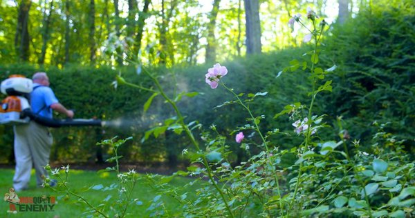 Mosquito Prevention - We GUARANTEE our outdoor mosquito spray will eliminate 93% or more of the mosquitoes on your property. Nothing takes the fun out of the summer months like a swarm of pesky mosquitoes making your barbecue or get-together a miserable experience. Mosquitoes can be found virtually anywhere, with over 176 species alone living in the United States, and besides being a nuisance, outdoor mosquito control is vital to your overall well being during the insects’ peak months. Mosquito Prevention - We GUARANTEE our outdoor mosquito spray will eliminate 93% or more of the mosquitoes on your property. Nothing takes the fun out of the summer months like a swarm of pesky mosquitoes making your barbecue or get-together a miserable experience. Mosquitoes can be found virtually anywhere, with over 176 species alone living in the United States, and besides being a nuisance, outdoor mosquito control is vital to your overall well being during the insects’ peak months.