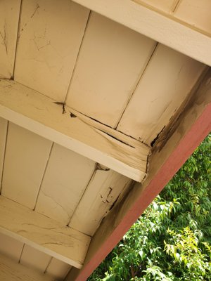 Wood Repairs - Before and after photo of dryrot/fungus to the rafter tail.