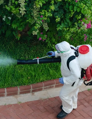 Wasp & Mosquito Management! - Locally owned business, we specialize in bed bug removal, ants, roaches, wasps, mice and termites. Free inspections and estimates with an 25$ off first service, or 1st time service. We guarantee pest removal. Book your service today. 301-778-8512.