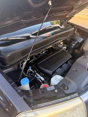 Engine Bay Detail - Engine Bay Detail
Remove dirt, dust, and grease from the engine bay and finish with a non-greasy dressing for a clean, factory-fresh look. Engine Bay Detail - Engine Bay Detail
Remove dirt, dust, and grease from the engine bay and finish with a non-greasy dressing for a clean, factory-fresh look.