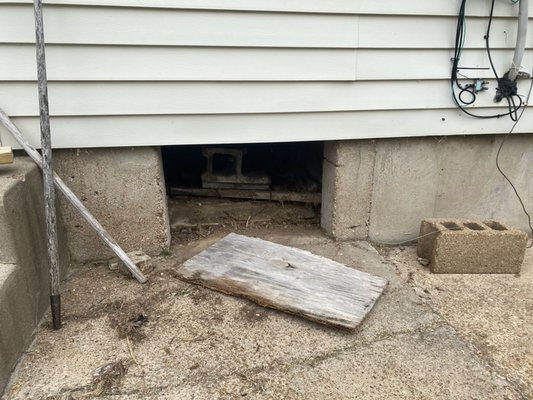 Raccoon in crawl space removal & prevention - Raccoon in the crawl space repairs. The other day I received a phone call from a distraught homeowner about a raccoon in the crawl space. Aside from the damage it could cause in their house they were also concerned about the harm it could inflict upon their pet dogs. We removed the raccoon asap and completed repairs today to prevent this from happening again. This crawl space access panel was framed with treated 2x4s, glued, screwed, painted, and added a perforated vent to allow for proper air circulation under the house. No more raccoons getting in this house!