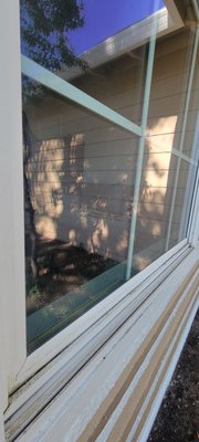 Hard water stain removal, calcium removal, mineral deposit removal - Mineral deposits, often called hard water stains, form when rainwater, sprinklers, or tap water leave behind calcium and other minerals on glass surfaces. Over time, these stains can etch into the glass, making windows look cloudy, dirty, and permanently damaged if not treated.
Our professional window restoration and hard water removal services safely eliminate these deposits, restoring clarity and shine to your windows without causing further damage. Regular maintenance and expert treatment protect your investment and keep your windows looking their best! Hard water stain removal, calcium removal, mineral deposit removal - Mineral deposits, often called hard water stains, form when rainwater, sprinklers, or tap water leave behind calcium and other minerals on glass surfaces. Over time, these stains can etch into the glass, making windows look cloudy, dirty, and permanently damaged if not treated.
Our professional window restoration and hard water removal services safely eliminate these deposits, restoring clarity and shine to your windows without causing further damage. Regular maintenance and expert treatment protect your investment and keep your windows looking their best!