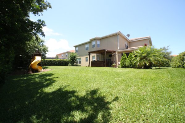 Lawn Care - A pest-free lawn is a happy lawn! Lawn Care - A pest-free lawn is a happy lawn!