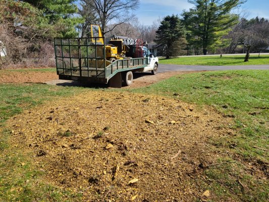 Stump Grinding in Granville, Ohio - Stump Grinding in Granville, OH Stump Grinding in Granville, Ohio - Stump Grinding in Granville, OH