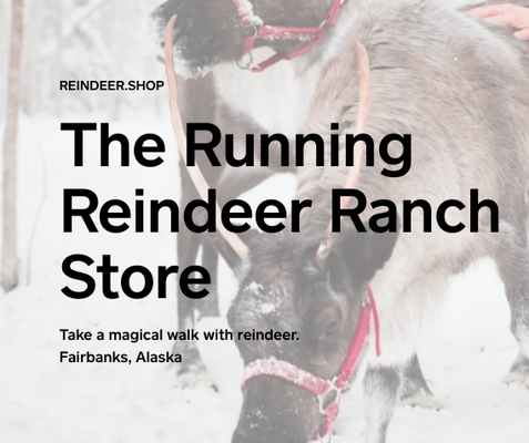 Running Reindeer Ranch Shop! - We are a family owned and operated farm. Jane is a life-long Alaskan, originally from Anchorage. Doug, originally from Portland, Oregon moved to Fairbanks over 40 years ago. We purchased our five-acre parcel and home and moved out to the Goldstream Valley, north of Fairbanks, in 2006. Shortly afterward we began shaping the land to suit our needs and fulfill our dreams. We love gardening, animals and being outdoors. A visit to our ranch is a visit to a true Alaskan family, and we invite you to be our guest for a unique Alaskan experience in the beautiful Goldstream Valley. Running Reindeer Ranch Shop! - We are a family owned and operated farm. Jane is a life-long Alaskan, originally from Anchorage. Doug, originally from Portland, Oregon moved to Fairbanks over 40 years ago. We purchased our five-acre parcel and home and moved out to the Goldstream Valley, north of Fairbanks, in 2006. Shortly afterward we began shaping the land to suit our needs and fulfill our dreams. We love gardening, animals and being outdoors. A visit to our ranch is a visit to a true Alaskan family, and we invite you to be our guest for a unique Alaskan experience in the beautiful Goldstream Valley.