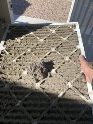 Dirty filter and damage. - Don't let Your filter get this bad!!
Keep Your Home’s Air Clean and Your System Running Smoothly!
Did you know that regularly replacing or cleaning your air filters is one of the easiest ways to protect your HVAC system from damage? A clogged filter forces your system to work harder, which can lead to overheating, increased energy bills, and costly repairs down the line.
Here’s why clean air filters matter:
Improved Efficiency: Clean filters allow air to flow freely, so your system doesn’t overwork.
Better Air Quality: Clean filters trap dust, pollen, and other allergens, keeping the air in your home fresher.
Longer System Life: When your system doesn’t have to work overtime, it lasts longer!
For best results, check your filters monthly and replace them every 1-3 months depending on usage. Regular maintenance now means fewer headaches later!
Give us a Call if you need help!! Dirty filter and damage. - Don't let Your filter get this bad!!
Keep Your Home’s Air Clean and Your System Running Smoothly!
Did you know that regularly replacing or cleaning your air filters is one of the easiest ways to protect your HVAC system from damage? A clogged filter forces your system to work harder, which can lead to overheating, increased energy bills, and costly repairs down the line.
Here’s why clean air filters matter:
Improved Efficiency: Clean filters allow air to flow freely, so your system doesn’t overwork.
Better Air Quality: Clean filters trap dust, pollen, and other allergens, keeping the air in your home fresher.
Longer System Life: When your system doesn’t have to work overtime, it lasts longer!
For best results, check your filters monthly and replace them every 1-3 months depending on usage. Regular maintenance now means fewer headaches later!
Give us a Call if you need help!!